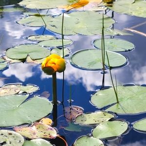 Meet your Posher, Yvonne